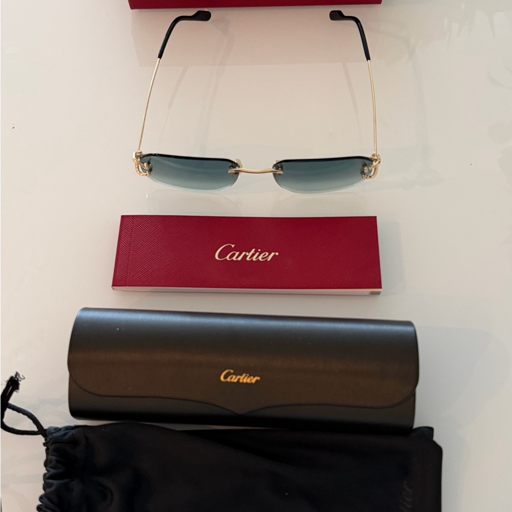 Cartier Blue and Gold Sunglasses - Picture 2 of 15
